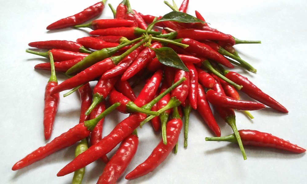 Freshly Picked Cayenne Peppers