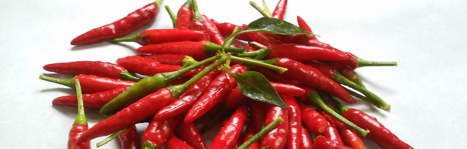 cropped-cayenne.jpg