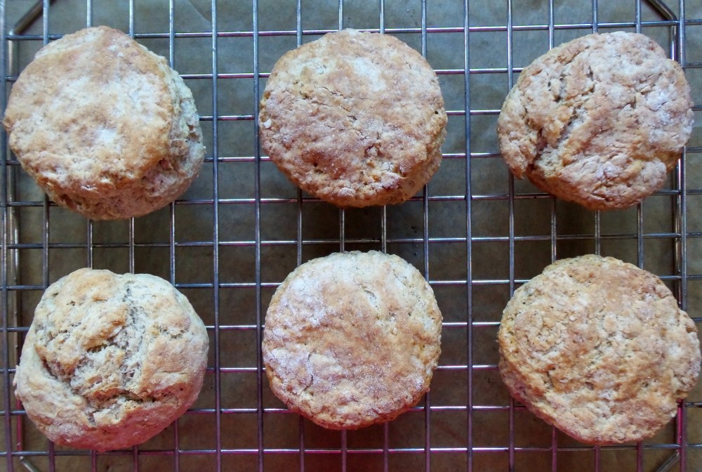 Biscuits cooling on cooling rack