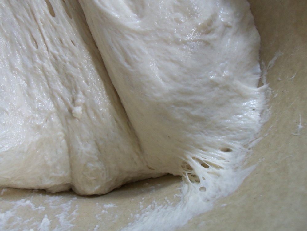 Risen Bread Dough Yeast Web