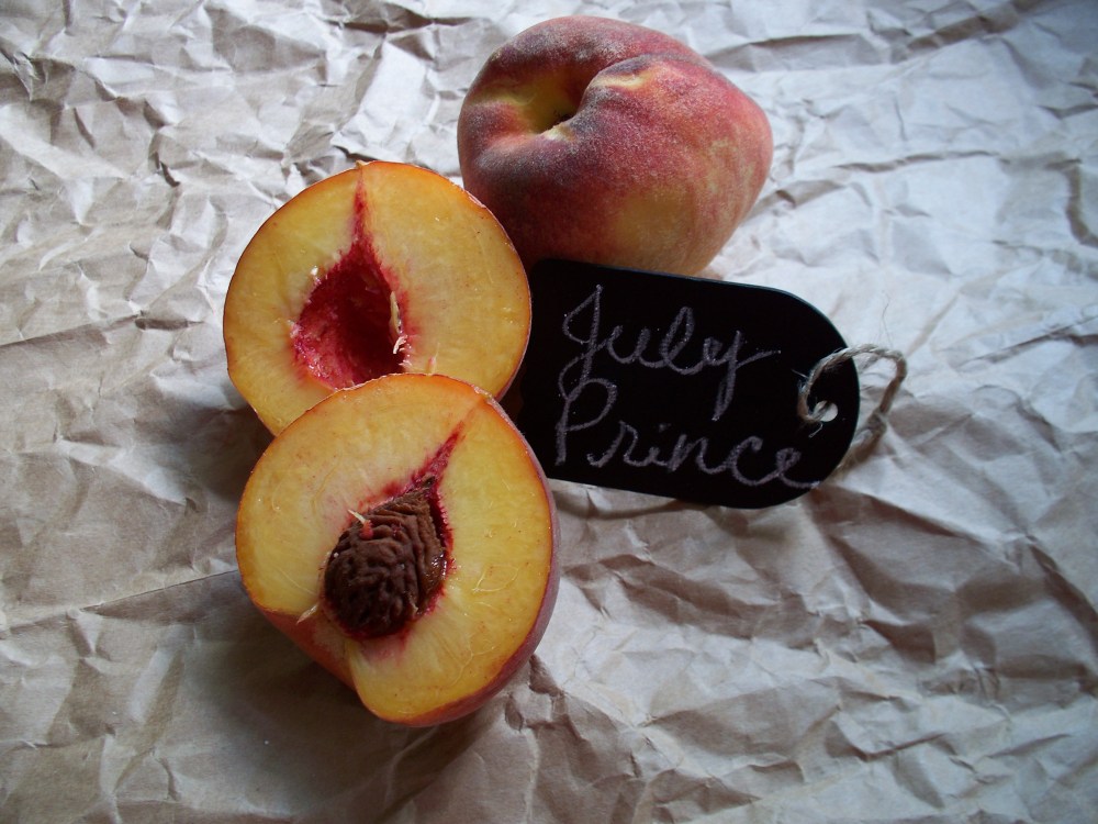 July Prince Peaches
