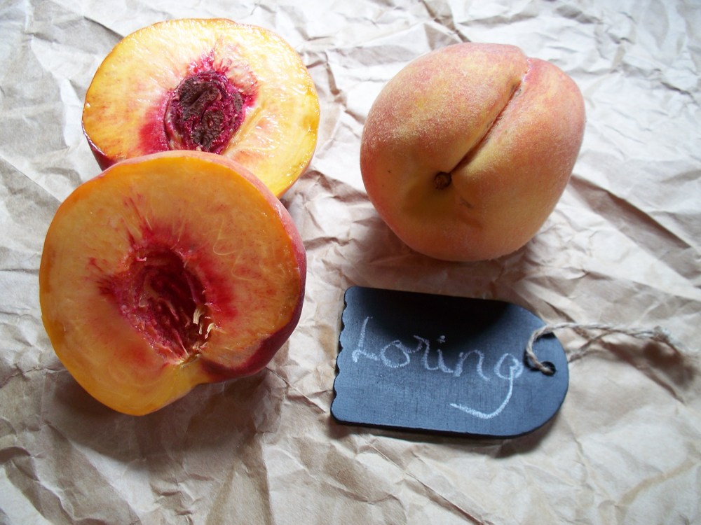 Loring Peaches