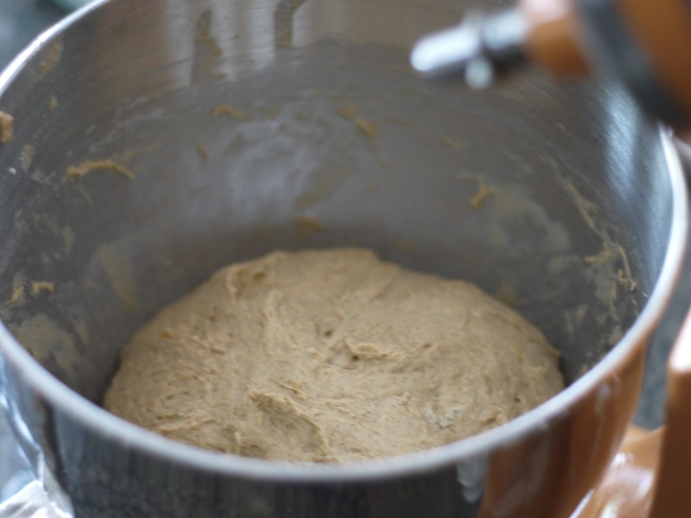 Mixed Bread Dough