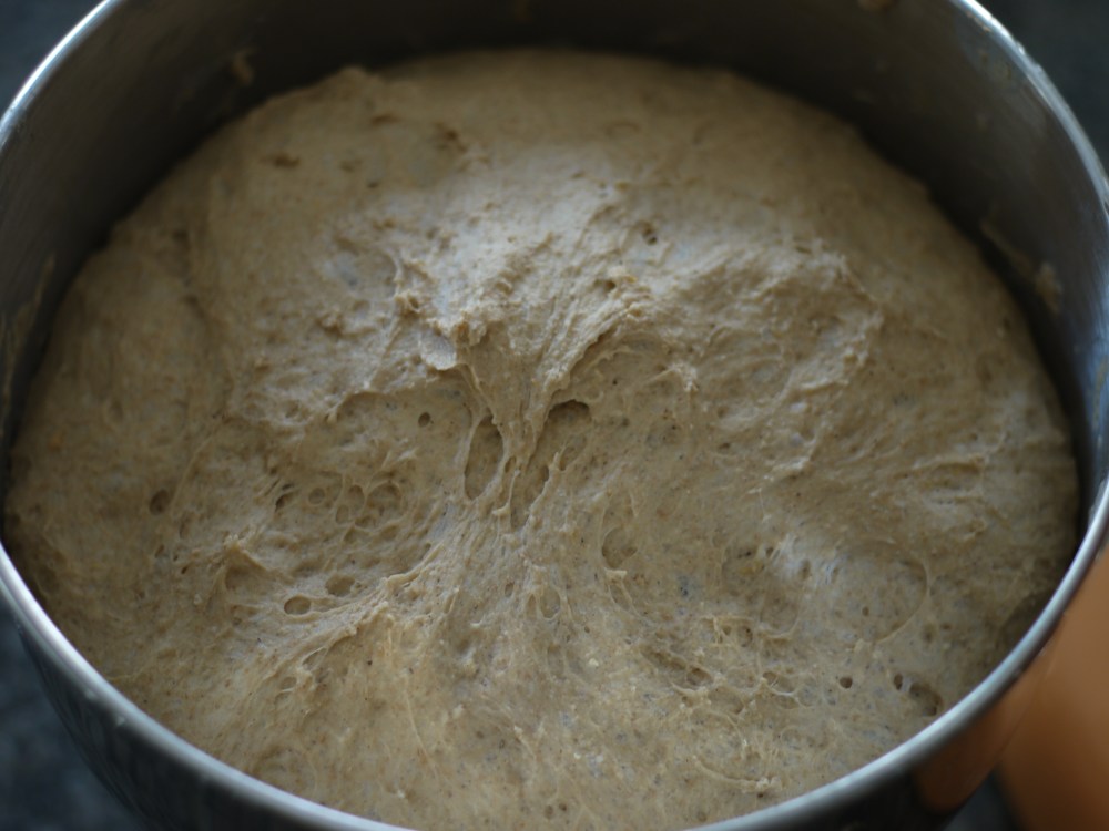 Risen Bread Dough