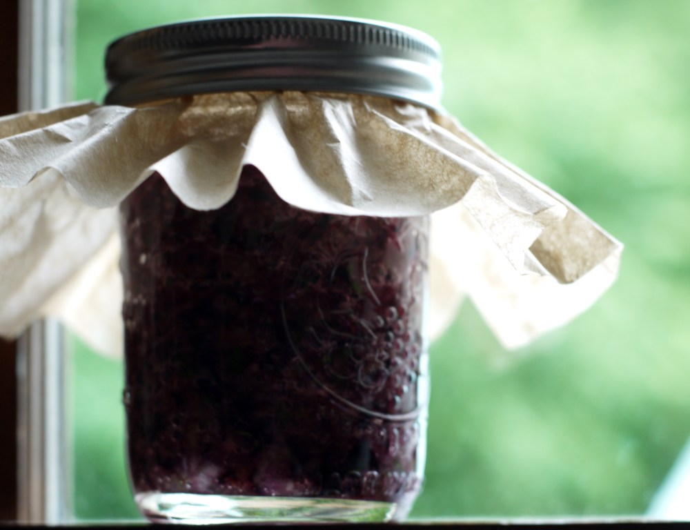 Curing Blueberry Hot Sauce