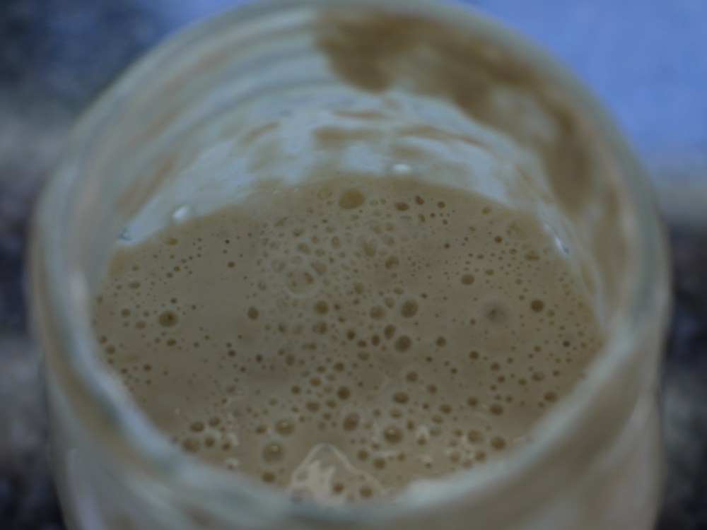 starter after feeding