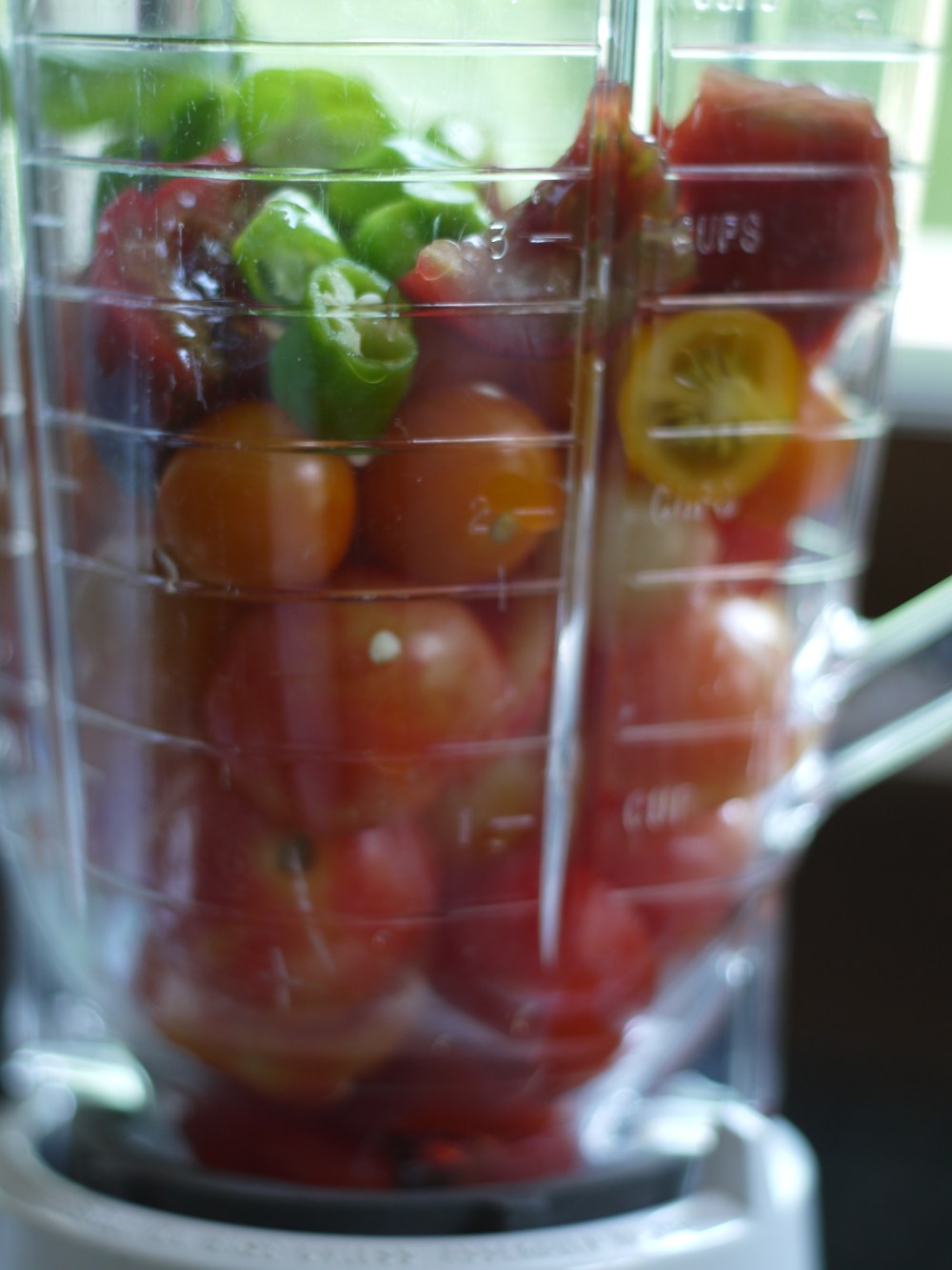 Pico de Gallo in Blender