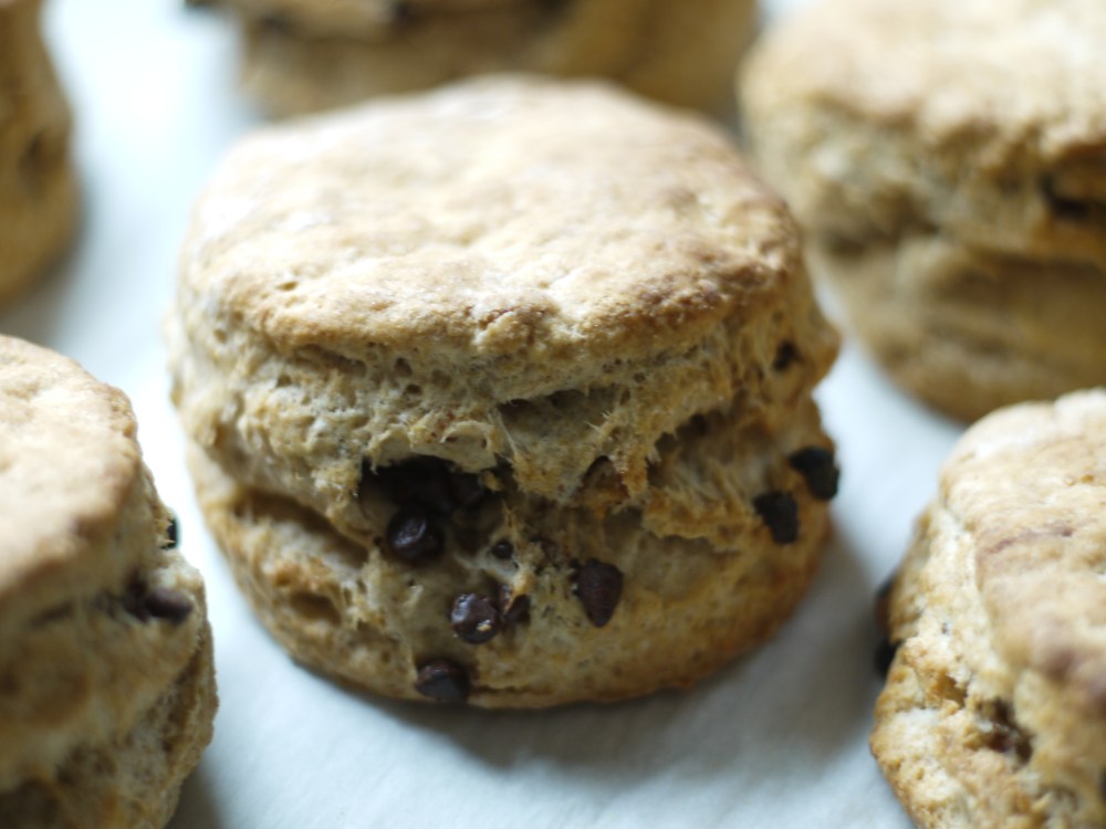 chocolate chip biscuit closeup