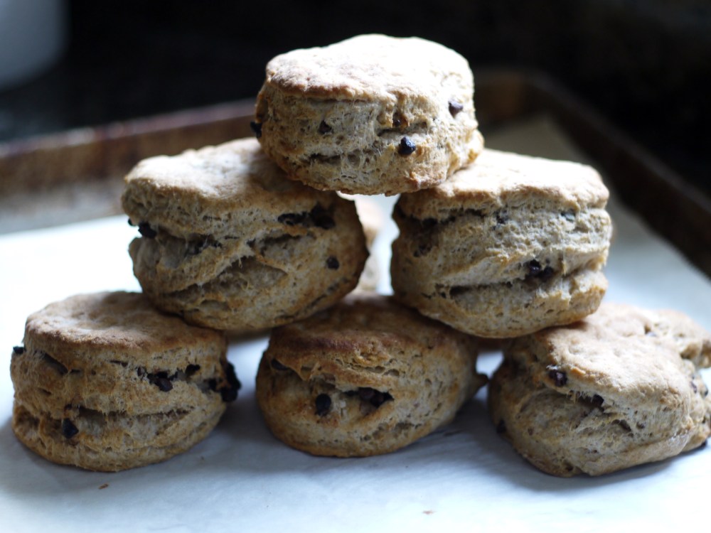 chocolate chip biscuits