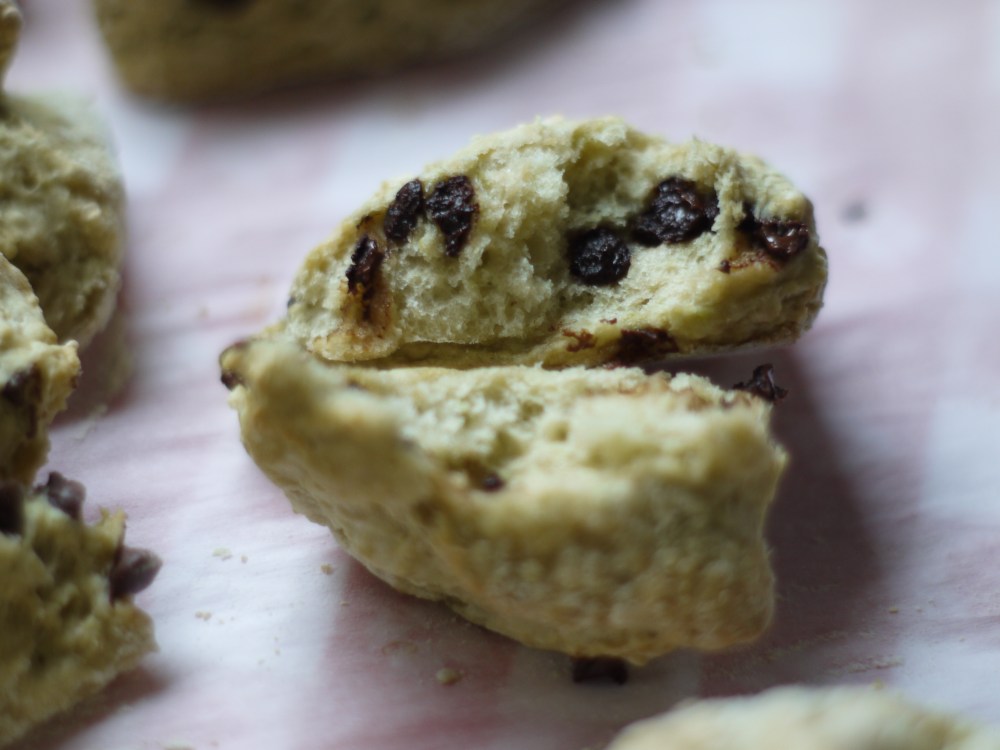 avocado biscuit cross section