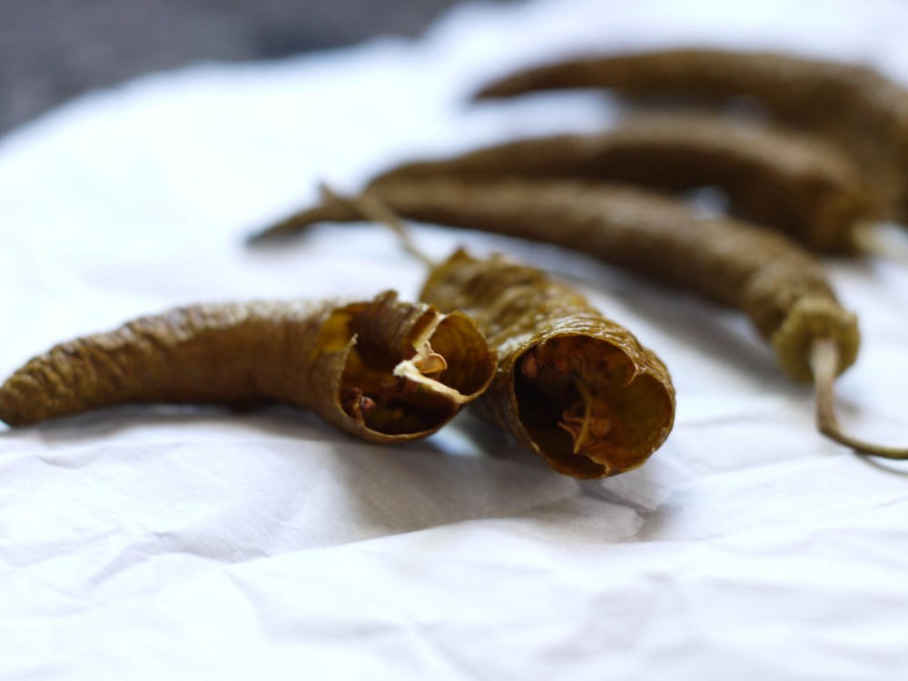 Dried Green Cowhorn Peppers
